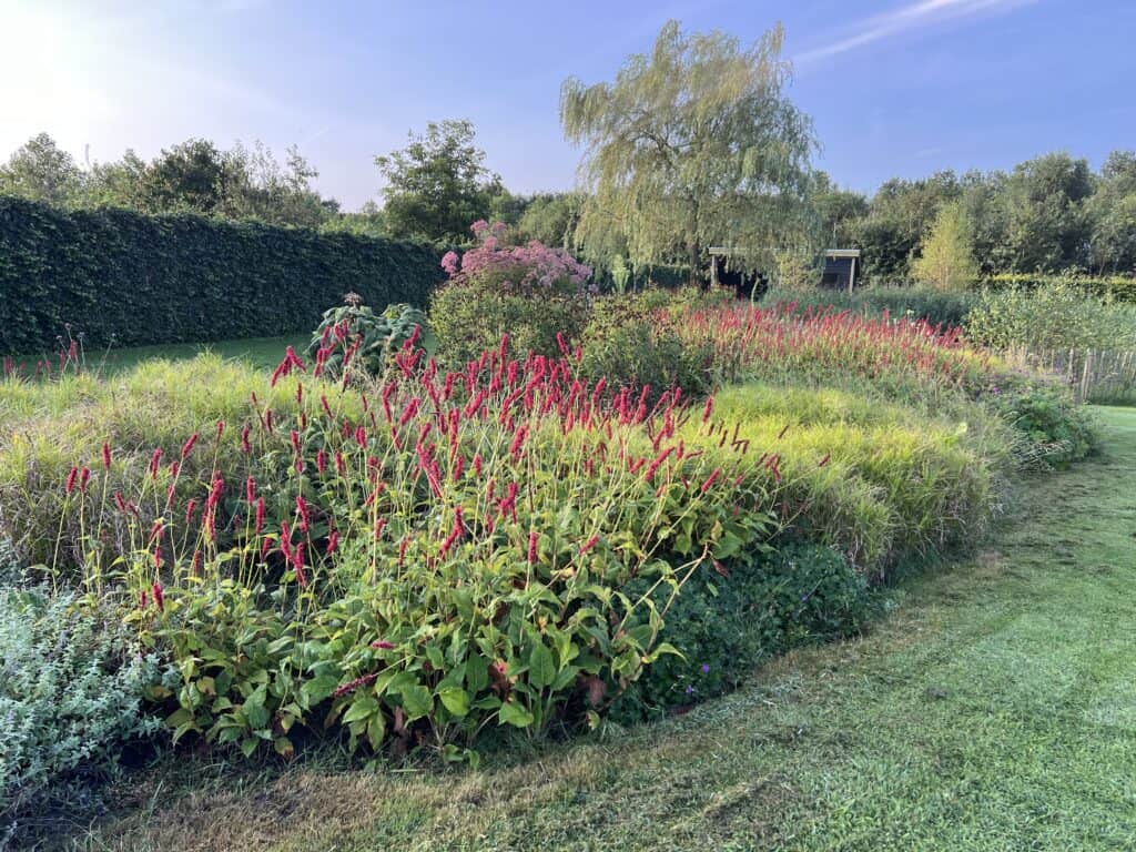 1. Hoogwaardige tuinontwerp en hoveniersdiensten in Nederland.