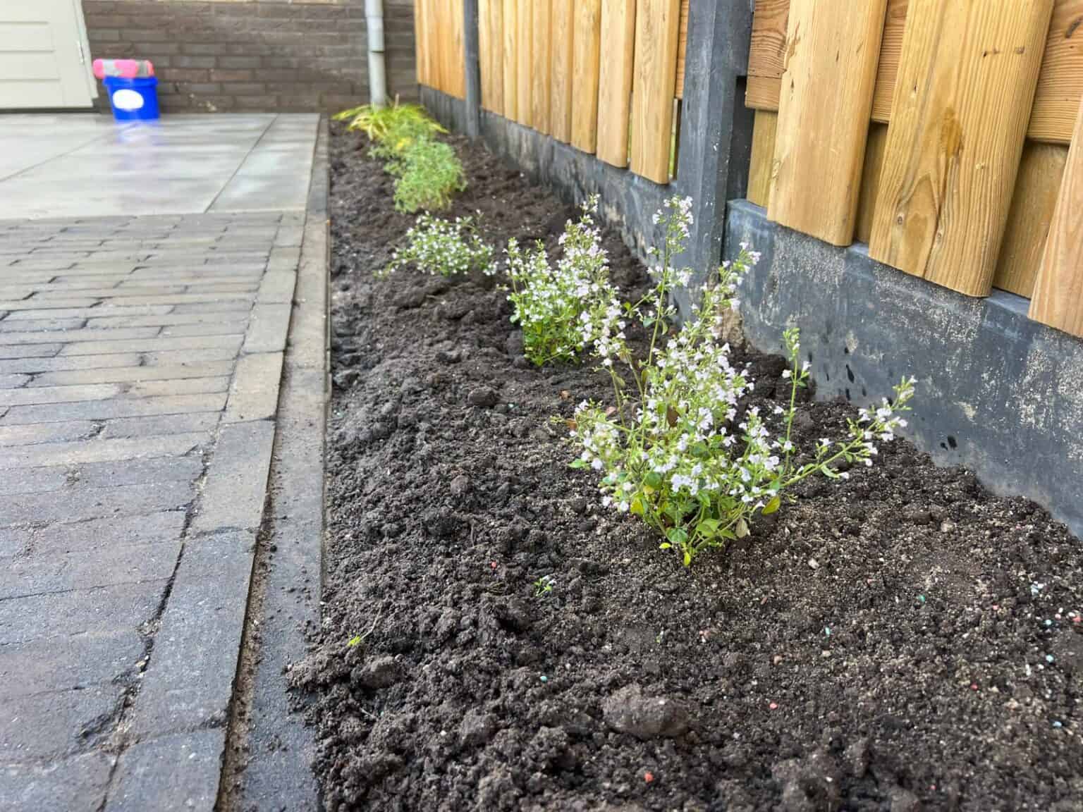 Close up beplanting vdhoogenhoveniers Uden