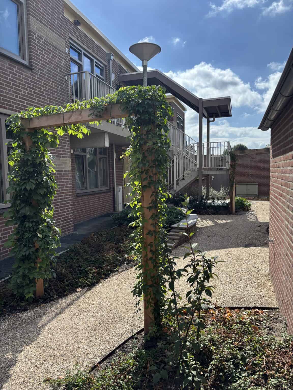 Kunst tuinvlonder met groenblijvende beplanting en moderne inrichting.